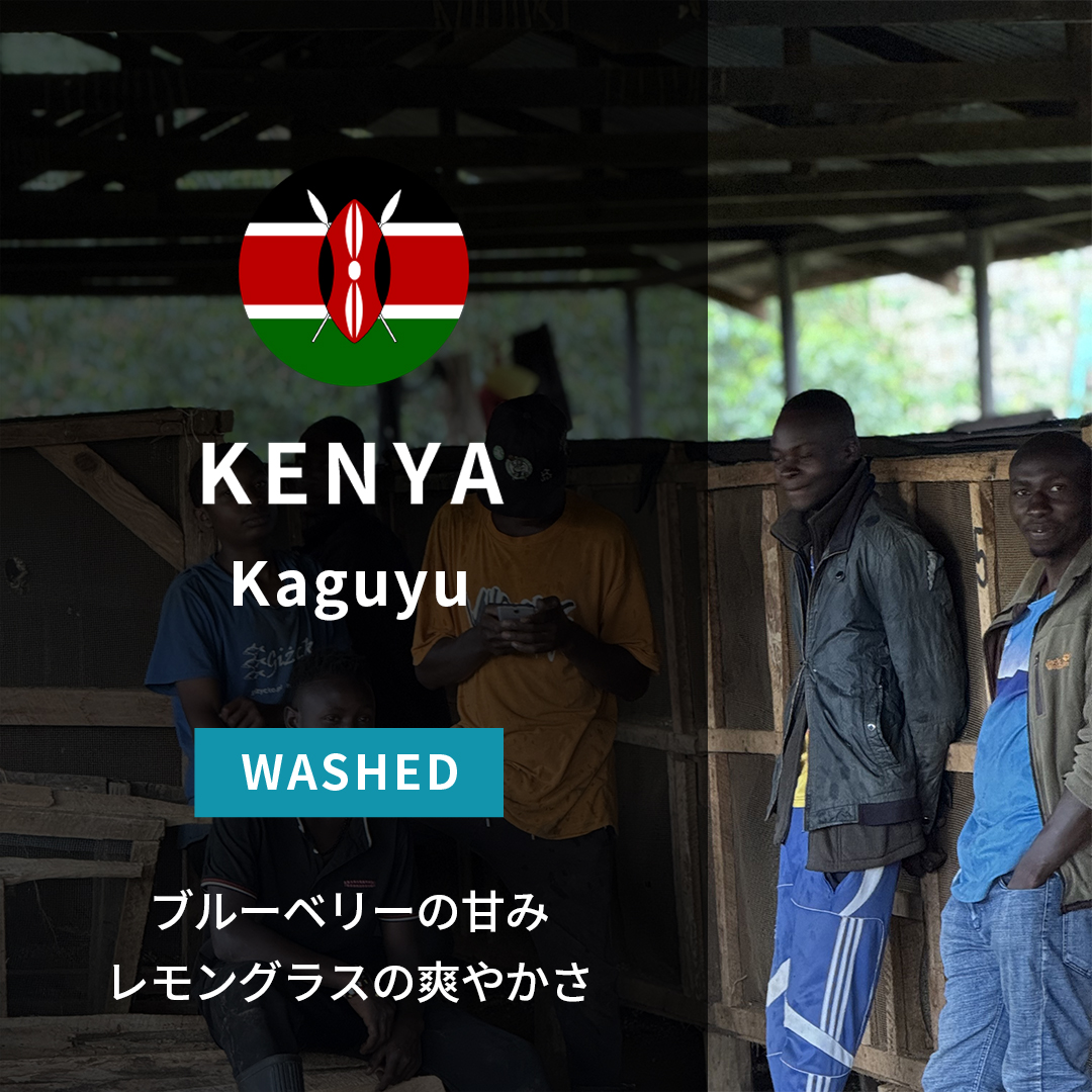 Kenya Kaguyu Washed(25/26年クロップ) | ORIGIN COUNTRIES for Small